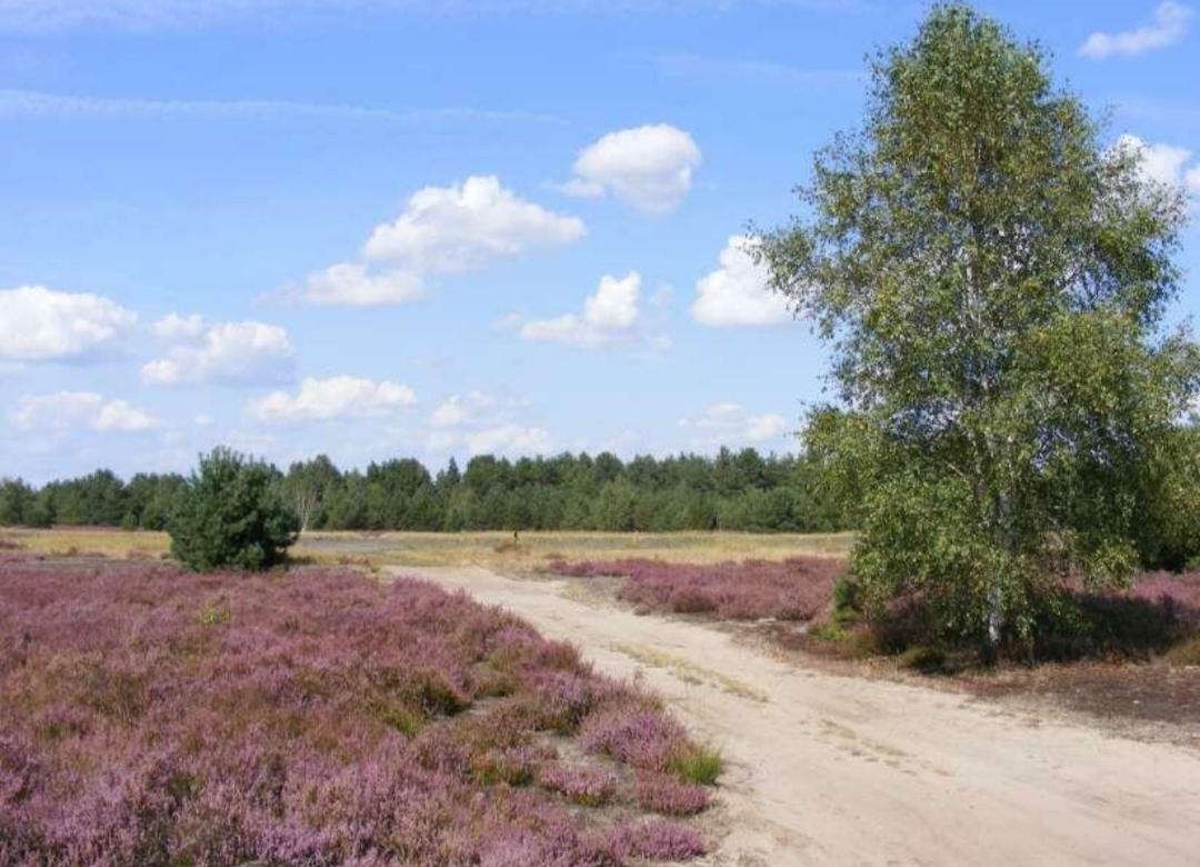 Chalet Schoonhoeve Schoonloo Dış mekan fotoğraf